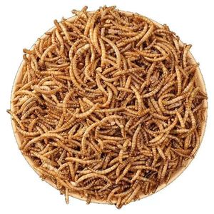 Pet takviyeleri yem katkı maddeleri kediler için kurutulmuş Mealworm yüksek Protein % 100% doğal ortak sağlık - Product Image 1