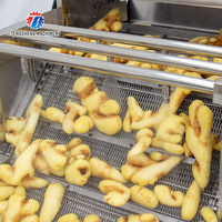Pomme de terre électrique curcuma gingembre lavage Peeling Machine radis brosse Machine de nettoyage