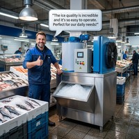 Macchina Commerciale per Ghiaccio a Scaglie, Produttore di Ghiaccio a Fiocchi Non Adesivi da 1,5mm a 2,2mm per Frutti di Mare, Hotel, Supermercati