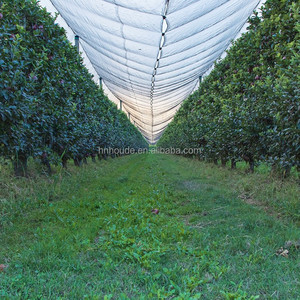 Optimisation du microclimat : Bâche en plastique tissé pour serre, diffuseur de lumière, couverture imperméable pour arbres fruitiers et vergers - Product Image 2