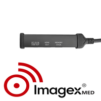 Caméra d'endoscopie vétérinaire portable 4K pour l'examen ORL des petits animaux