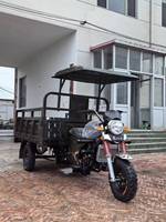 Tricycle de fret motorisé 250cc à essence 4 temps automatique, ouvert, 3 roues, avec siège latéral, pare-soleil et étanche, populaire en Afrique