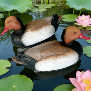 Leurre de chasse flottant réaliste en forme de canard à crête <span class=keywords><strong>rouge</strong></span>, directement de l'usine, pour la chasse aux oiseaux aquatiques en extérieur - Product Image 4