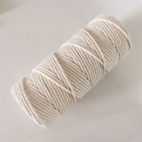 Makramee-Set - 100M 100% Baumwolle Weiches Natürliches Handwerksseil 3mm Holzperlen Holzring & Stab Pflanzenaufhänger DIY
