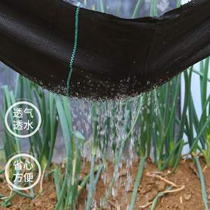 Tela de barrera de malezas tejida de PP, <span class=keywords><strong>malla</strong></span> permeable antimalezas, estera de deshierbe para invernadero, tela <span class=keywords><strong>antihierba</strong></span> para jardín - Product Image 2