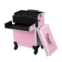 Chariot cosmétique professionnel en aluminium personnalisé valise de maquillage à roulettes valise de train avec roues