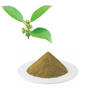 Порошок экстракта Gymnema Sylvestre 25% гимнастической кислоты - Product Image 1