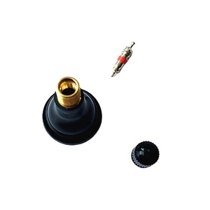 <span class=keywords><strong>Valve</strong></span> de pneu sans chambre à air <span class=keywords><strong>TR415</strong></span>, livraison rapide du fabricant pour camion et voiture - Product Image 2