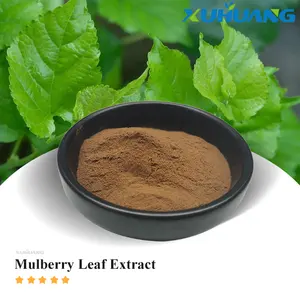 Atural 20:1 Mulberry eaeaf Xtract URE holesale ululberry Leaf Xtract owowder