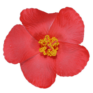 9cm di colore misto hawaiana partito di ibisco fermaglio per <span class=keywords><strong>capelli</strong></span> in schiuma grande fiore accessori per <span class=keywords><strong>capelli</strong></span> per banchetti <span class=keywords><strong>fiori</strong></span> di simulazione <span class=keywords><strong>fiori</strong></span> - Product Image 5