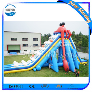 Outdoor <b>Water</b> <b>Slide</b> <b>Inflatable</b> and for Adult Accept Customized Size <b>Water</b> <b>Slide</b> <b>Inflatable</b> <b>Water</b> <b>Slide</b> for Adult Out - Product Image 2