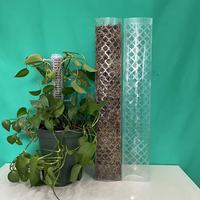 Poteaux de soutien pour plantes d'intérieur, bâtons de croissance pour plantes grimpantes, poteaux en plastique pour plantes, fournitures de jardin