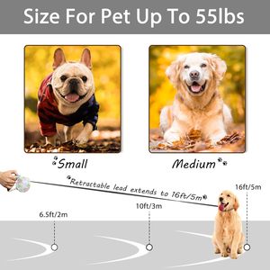 <b>Pet</b> Products Running Dog <b>Leash</b> Retractable 12 Color 5M Long Tax Stamp Retractable Dog <b>Leash</b> - Product Image 2