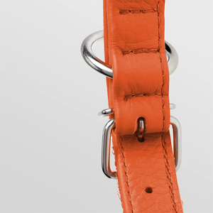 <span class=keywords><strong>Collar</strong></span> de Perro de Cuero Enrollado Nibao, <span class=keywords><strong>Collar</strong></span> Redondo Acolchado Suave para Cachorros, Apto para Todas las Tallas de Perros - Product Image 4