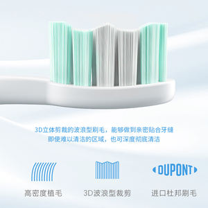 Irrigateur buccal étanche IPX7 OEM/ODM, appareil électrique de nettoyage des dents, fil dentaire de voyage à domicile, vente en gros bon marché - Product Image 2