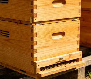 Colmena Dadant, Disponible en PP/Madera, 10-11 Cuadros, Apta para Abejas Chinas y Occidentales - Product Image 6