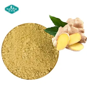 पेशेवर सप्लायर अदरक रूट Oleoresin निकालने Gingerol पाउडर 10:1 Kaempferia Parviflora निकालने