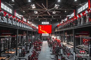 Fabricante de Equipos de Gimnasio Comerciales SK: Producción de Máquinas de Levantamiento de Pesas con Selección de Carga por Pin y Asistencia para Dip y Pull-up - Product Image 6