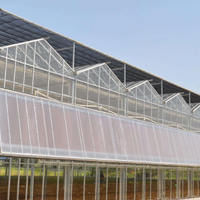 Grande serre moderne à travées multiples Serre de jardin à cadre en aluminium Serres d'extérieur en polycarbonate