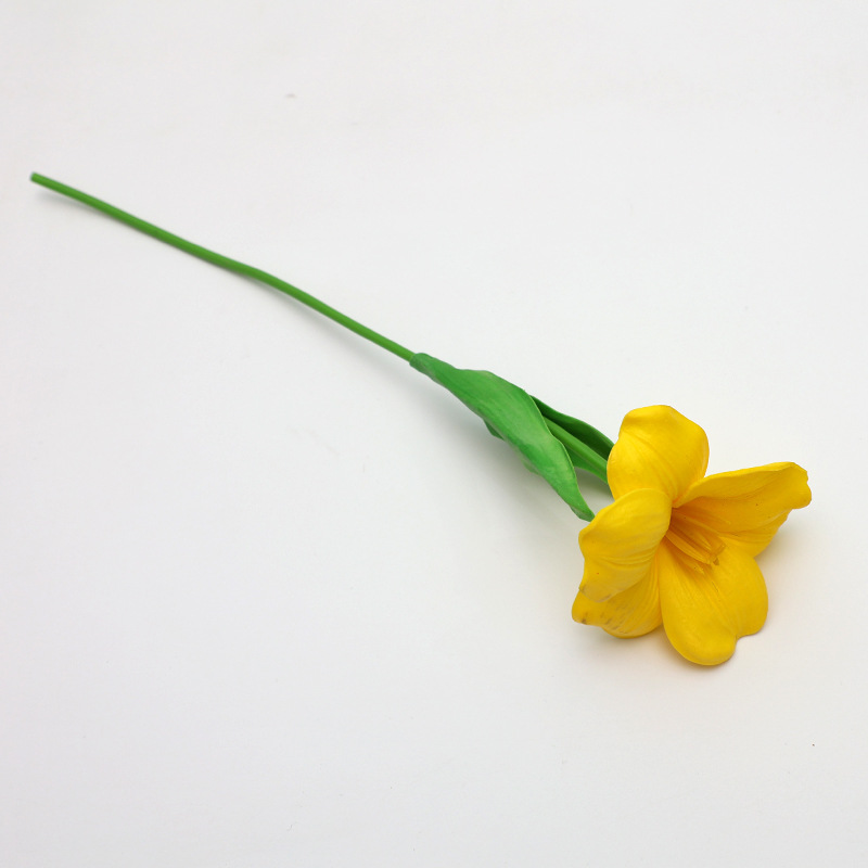 Tulipes à fleurs jaunes