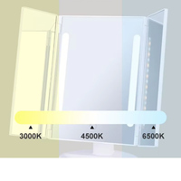 Pliable Bureau LED Éclairage Miroir De Maquillage Rechargeable Usage Domestique Équipement De Beauté Populaire Cosmétique LED Miroir