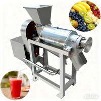 Charlotte Watermeloenpers Sapmachine Professionele Elektrische Tomatensapcentrifuge Motor Voedselveilige RVS Hoge Efficiëntie