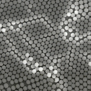 Microsphères TRF fonctionnelles à base de carboxylate, excellente capacité d'agglomération pour la conjugation de biomolécules - Product Image 1
