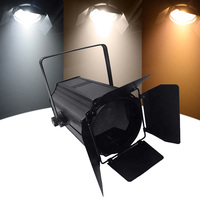 Projecteur Fresnel électronique QSE Lighting 200W LED blanc chaud/blanc froid, zoom réglable 10-90, CRI 90, contrôle DMX512