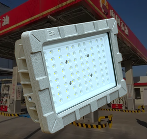 Xiwei 30W 40W 50W chống nổ wf2 chống ăn mòn đúc nhôm Cree 3030 dẫn đèn pha lớp <span class=keywords><strong>1</strong></span> div 2 IP66 nổ - Product Image 1