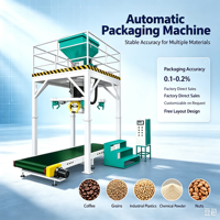 Machine de remplissage et d'emballage de sacs jumbo (500kg, 1000kg, 1500kg) pour café, noix, granulés de bois, LDPE, maïs, pommes de terre