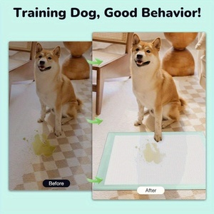 Nouveaux tapis d'entraînement pour chiots et chiens, imperméables, jetables, en fibres, de différentes tailles, très demandés - Product Image 5