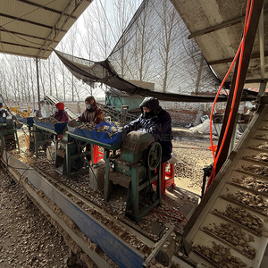 Máquina Secadora de Hierbas de Alta Eficiencia con Cinta de Malla, Máquina Secadora de Forsythia con Cinta de Malla, Máquina Secadora de Raíz de Isatis con Cinta de Malla - Product Image 3