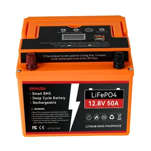 סוללת lifepo4 סוללת lifepo4 12v 50ah 80ah 100ah li-ion סולארי pv מערכת bms 12v עם יציאת usb dc