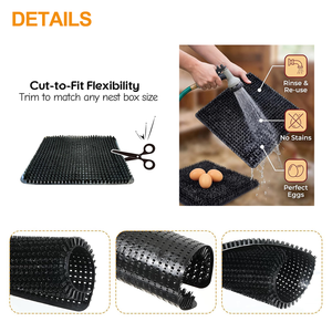 Meilleur <span class=keywords><strong>prix</strong></span> usine : Tapis de nidification en PE pour poulaillers, pour l'élevage de poules, canards et autres volailles, pour la ponte des œufs, doublures réutilisables pour nichoirs - Product Image 3