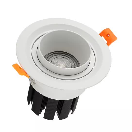 4 Inch Adjustable Angle LED Downlight COB 5W 7W 10W 12W 15W 20W 30W LED Embedded Focus Spot