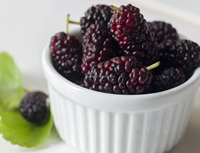 Superieure Kwaliteit Iqf Bevroren Moerbeien Vers Geplukt En Flash Bevroren Fruit