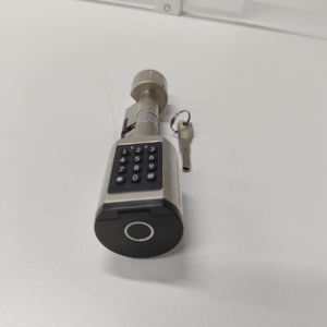 Serrure Intelligente Digitale OEM S01 à Empreinte Digitale avec Stockage Cloud pour Portes en Bois/Acier - Serrure Électronique de Sécurité Étanche sans Clés - Product Image 6