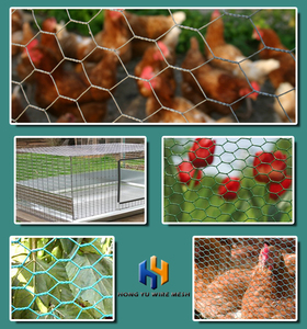 Nhúng nóng 8 chân cao mạ kẽm dây lưới hàng rào gia cầm lưới lục giác gà lồng dây lưới CuộN - Product Image 6