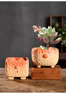 Pots à succulentes en céramique créatifs en forme d'animaux de dessin animé, pots en <span class=keywords><strong>terre</strong></span> <span class=keywords><strong>cuite</strong></span> spéciaux pour la maison, contrôle des racines, vente de liquidation en gros - Product Image 5