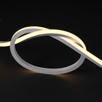 Bande lumineuse LED néon 3D ultra-lumineuse 12x12mm 180 LED/m IP68 PVC flexible pour la conception de scène CE ROHS