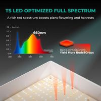 300W Mars Hydro TSL-2000 CE RoHS Brevet Conception de capot réfléchissant 2x4 Haute efficacité Dimmable Spectre complet Led élèvent la lumière