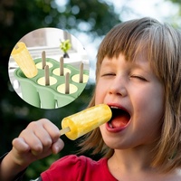 Moule à glaçons en silicone en gros, moule à crème glacée et bâtonnets de glace DIY en silicone, 8 cavités, qualité alimentaire