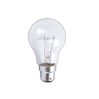 Ampoule miniature incandescente électrostatique transparente E27 B22 220v 110v A55 A60 100w