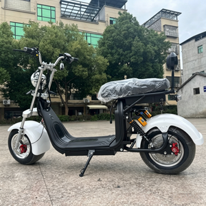 Scooter électrique Citycoco 2000W pour adultes - Batterie lithium 60V - Scooter à pneus larges - Scooter tout-terrain hors route avec homologation EEC/COC - Product Image 3