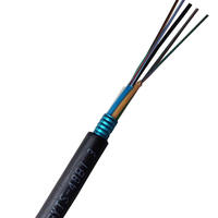 Cable de Fibra Óptica Blindado de 24 Hilos, Cable de Fibra Óptica Metálico Blindado de 24f, Precio por Metro del Rollo