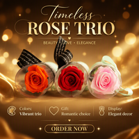 Rose éternelle à tige unique, toucher réel, prix d'usine, longue durée, pour la Saint-Valentin et le Nouvel An chinois