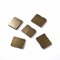 SS-S102 OEM Pièces d'outils électriques polies, segments diamantés en forme de B 24*19/20*3.3mm pour la découpe du granit, pour lame de scie à granit