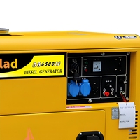 Hochwertiger Tragbarer Dieselgenerator 3kW-6,5kW Bereich Superleise Luftgekühlt 480V 48V Automatischer Start Nennspannung