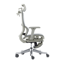 Réglage de la profondeur d'assise Accoudoir 3D meilleure chaise de bureau ergonomique en maille gris avec repose-pieds