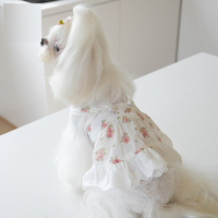 Robe de jupe pour chien de compagnie, motif de fleurs jolies, printemps été